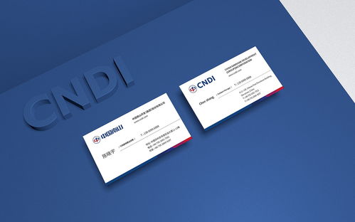 中國南山集團品牌標志設計與VI形象建設項目策劃與公關服務方案